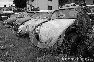 Old rusting abandoned Volkswagen Beetles Editorial Stock Photo