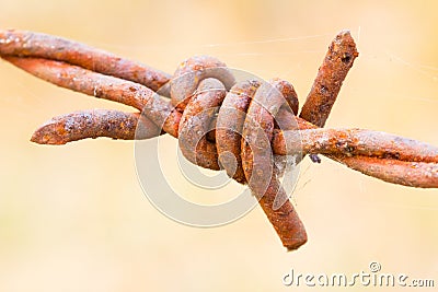 Old rusty barbed wire closeup Stock Photo
