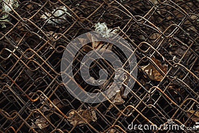 Old rusty brown mesh background. Metal mesh fence in dry leaves close up. Grunge vintage texture Stock Photo