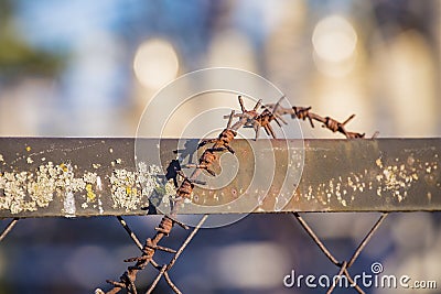 Old rusty coiled barbed wire fencing Stock Photo