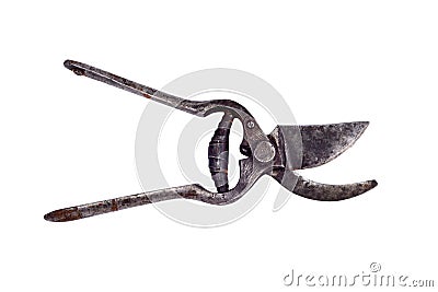 Old and rusty garden pruner Stock Photo