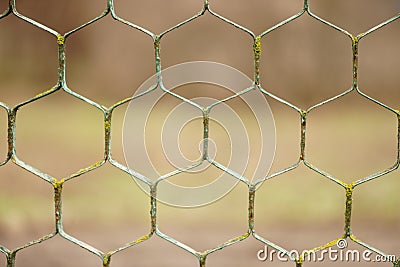 Old rusty hexagonal mesh fence closeup with blurred bokeh Stock Photo