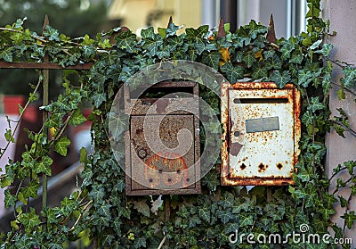 Old rusty mailboxes with ivy Stock Photo