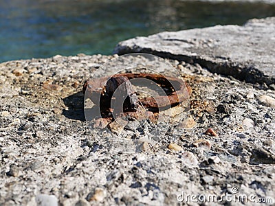 An old rusty metal mooring ring on the mooring wall on a sunny summer day. A device for holding sea vessels in port. Stock Photo
