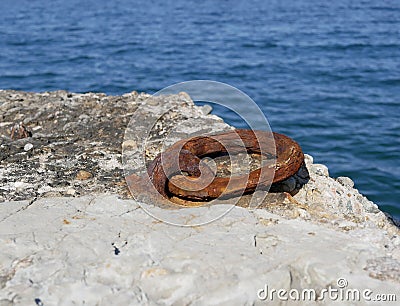 An old rusty metal mooring ring on the mooring wall on a sunny summer day. A device for holding sea vessels in port. Stock Photo