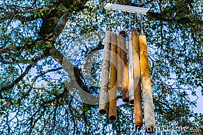 Old and rusty, metal wind chime, hanging from the branch of a live oak tree Stock Photo