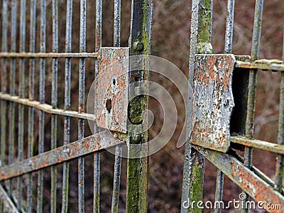 Old rusty open gate with broken lock, ajar Stock Photo