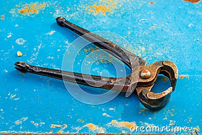 Old rusty pincers on a blue, rusty metal background. First-class levers used primarily for removing objects typically nails Stock Photo