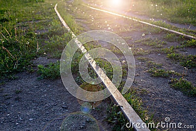 Old rusty railway tracks. Green grass grows all around. The bright sun is shining and glare is at the bottom of the Stock Photo