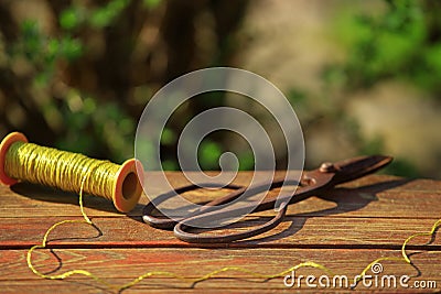 Old rusty scissors gold string wooden sharp table garden Stock Photo