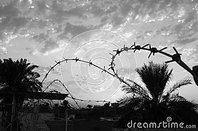 Old rusty security barbed wire fence on blue sky Stock Photo