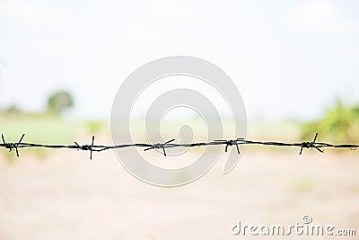 Old rusty security barbed wire fence isolated on green nature for background texture. Stock Photo
