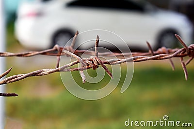 Old rusty steel barbed wire on blurred background Stock Photo