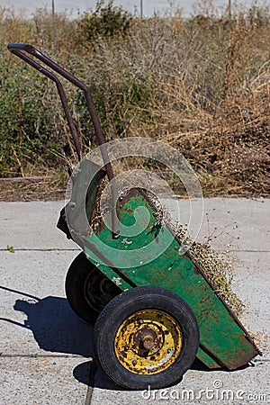 old rusty wheelbarrow garden is filled with dry grass Stock Photo