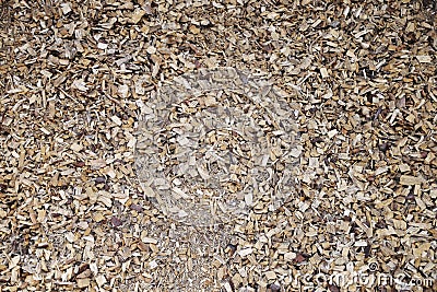 Sawdust wooden filling seamless background Stock Photo