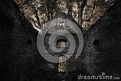 Old scary ruin in the deep forest Stock Photo