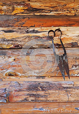 Old scissors Stock Photo