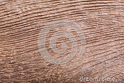 Old scratched oak wood texture on macro. Perfect wood texture. Stock Photo