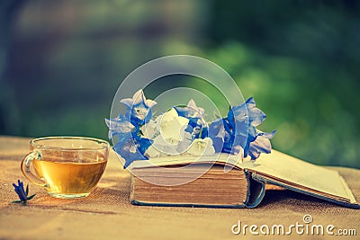 Old shabby book, flowers and a cup of tea Stock Photo