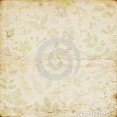 Old shabby faded dried pressed floral pattern paper background Stock Photo