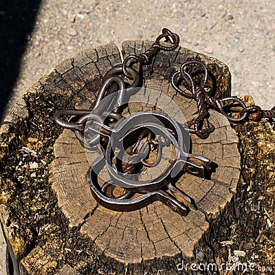 Old shackles on a stump. Old shackles attached to the chain to the log. Photos of old shackles attached to the chain to the log Stock Photo