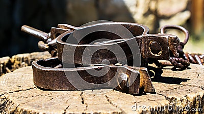 Old shackles on a stump. Old shackles attached to the chain to the log. Photos of old shackles attached to the chain to the log Stock Photo