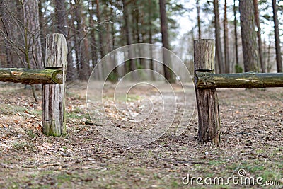 Old solid fence in the forest. The entrance gate on a forest road Stock Photo