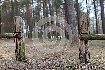 Old solid fence in the forest. The entrance gate on a forest road Stock Photo