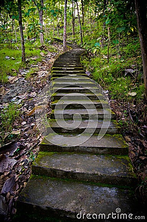 Old staircase in the middle of the forest Stock Photo