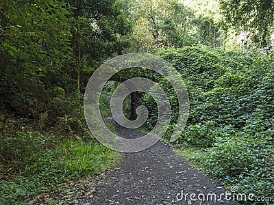 Old stone aqueduct, water duct arc at Cubo de la galga nature park, path in beautiful mysterious Laurel forest Stock Photo