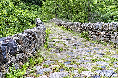 Old Stone bridge over the river in summer forest. Stock Photo