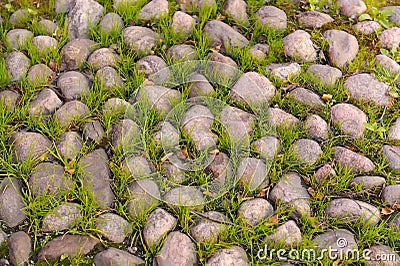 Old Stone Paved Path with Grass Stock Photo
