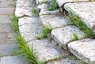 Old stone steps with grass Stock Photo