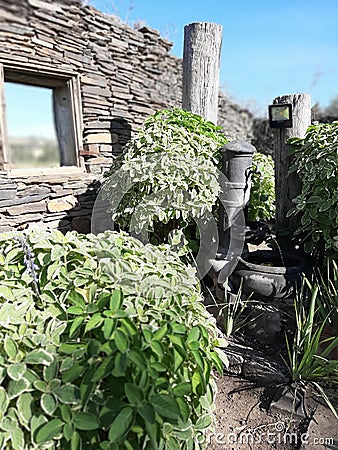 Old stone wall in a beautifully landscaped garden Stock Photo