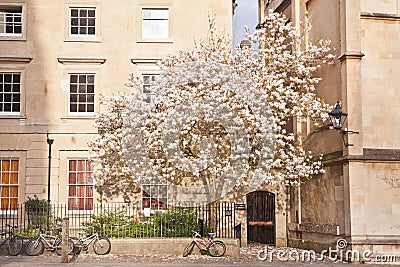 Old street in Oxford, England, UK Stock Photo