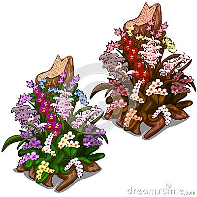 Old stump overgrown with colourful wild flowers Vector Illustration