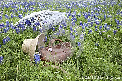 Old suitcase,bonnet and parasol in a field of bluebonnets Stock Photo