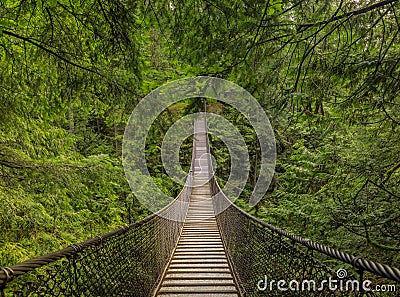 Old suspension bridge above a river, among pine trees on a mountain in Lynn Canyon Park forest in Vancouver, Canada Stock Photo