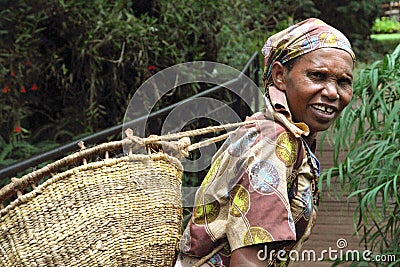 old Tanzanian Woman works in coffee farm Editorial Stock Photo