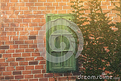 Old Texture brick wall, detailed pattern covered in ivy Stock Photo