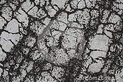 Old textured white paint on asphalt. Texture cracks black, white background Stock Photo