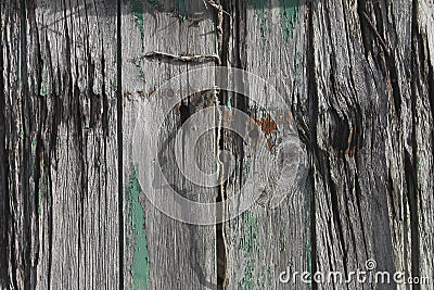 Old textured wood and bolt on an old shed Stock Photo