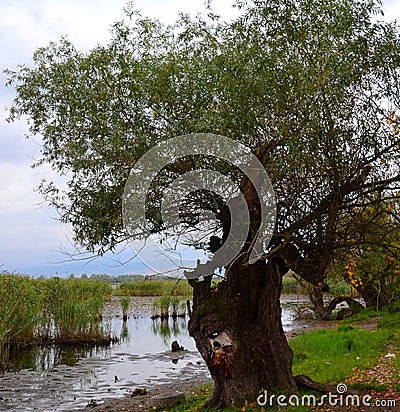 old three river nature landscape Stock Photo