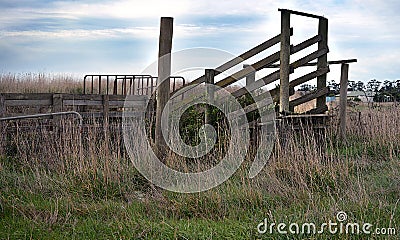 Old timber cattle ramp in an Victorian farm it was used for stock to climb up to the trucking vehicle Stock Photo