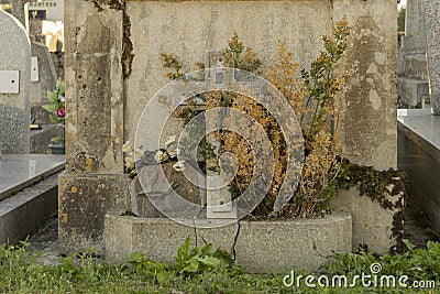 Old tombstone adorned with a large cross with Christ, dried plants and a funerary plaque Stock Photo