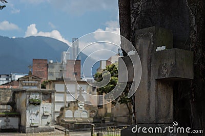 Old Tombstone Cross near to a tree into a central Cemetery Editorial Stock Photo