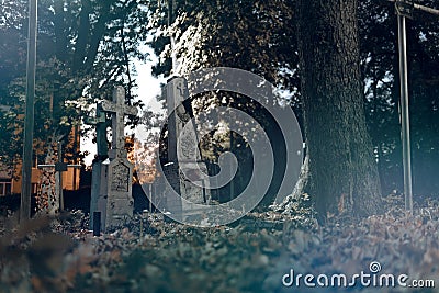 Old tombstones ruin in autmn forest, cemetery in evening, night, moon light, selective focus, halloween concept design backgrond, Stock Photo