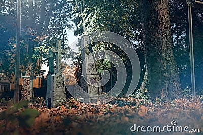 Old tombstones ruin in autmn forest, cemetery in evening, night, moon light, selective focus, halloween concept design backgrond, Stock Photo