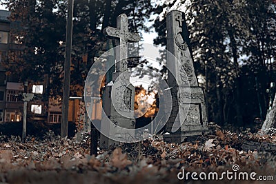 Old tombstones ruin in autmn forest, cemetery in evening, night, moon light, selective focus, halloween concept design backgrond Stock Photo