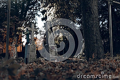 Old tombstones ruin in autmn forest, cemetery in evening, night, moon light, selective focus, halloween concept design backgrond Stock Photo